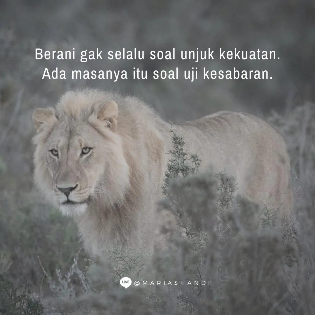 Berani