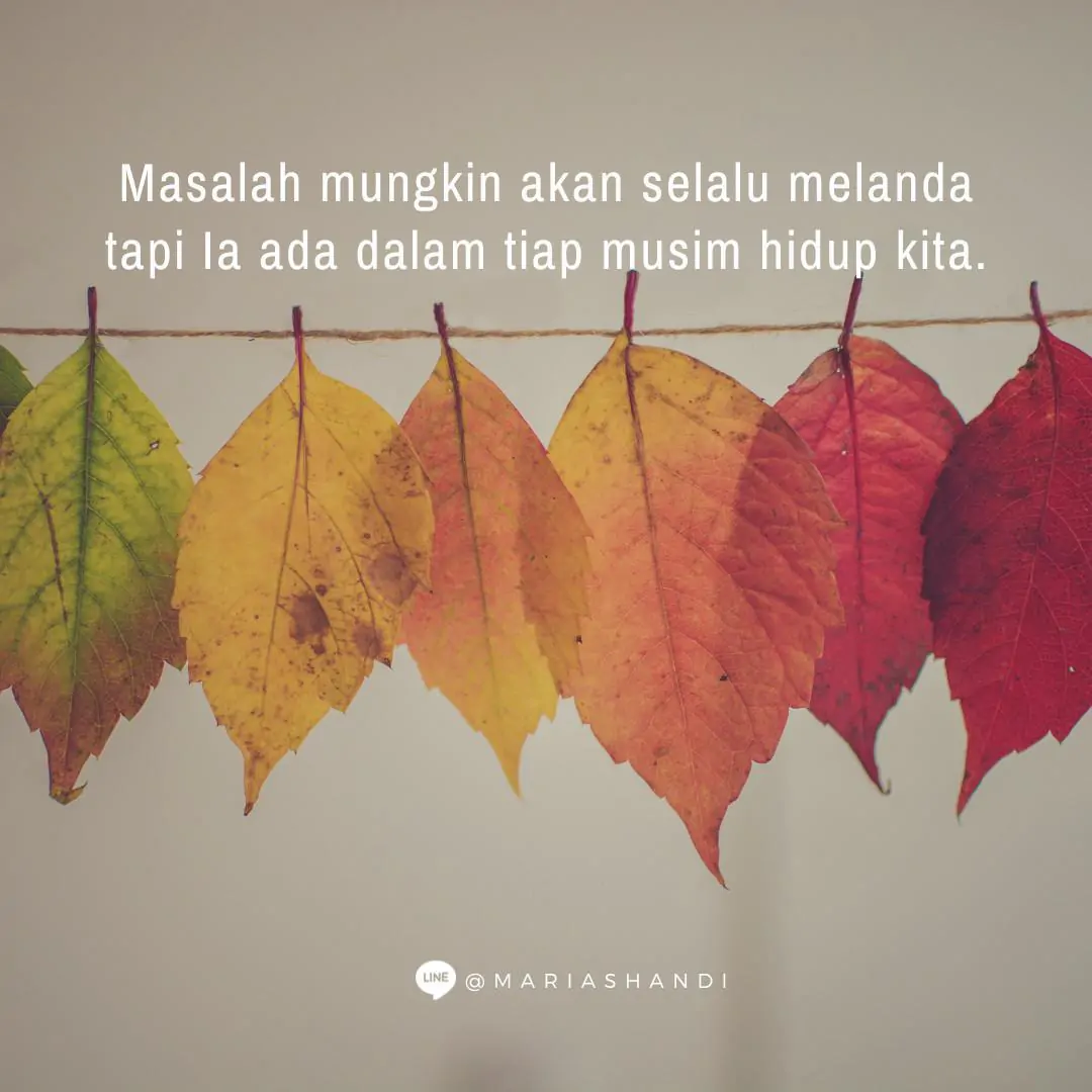 Di Setiap Musim