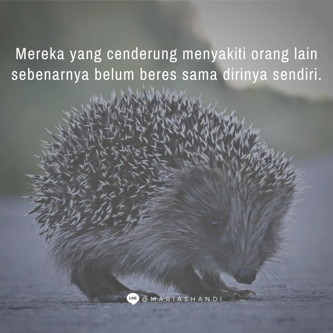 Duri Landak Duri Landak