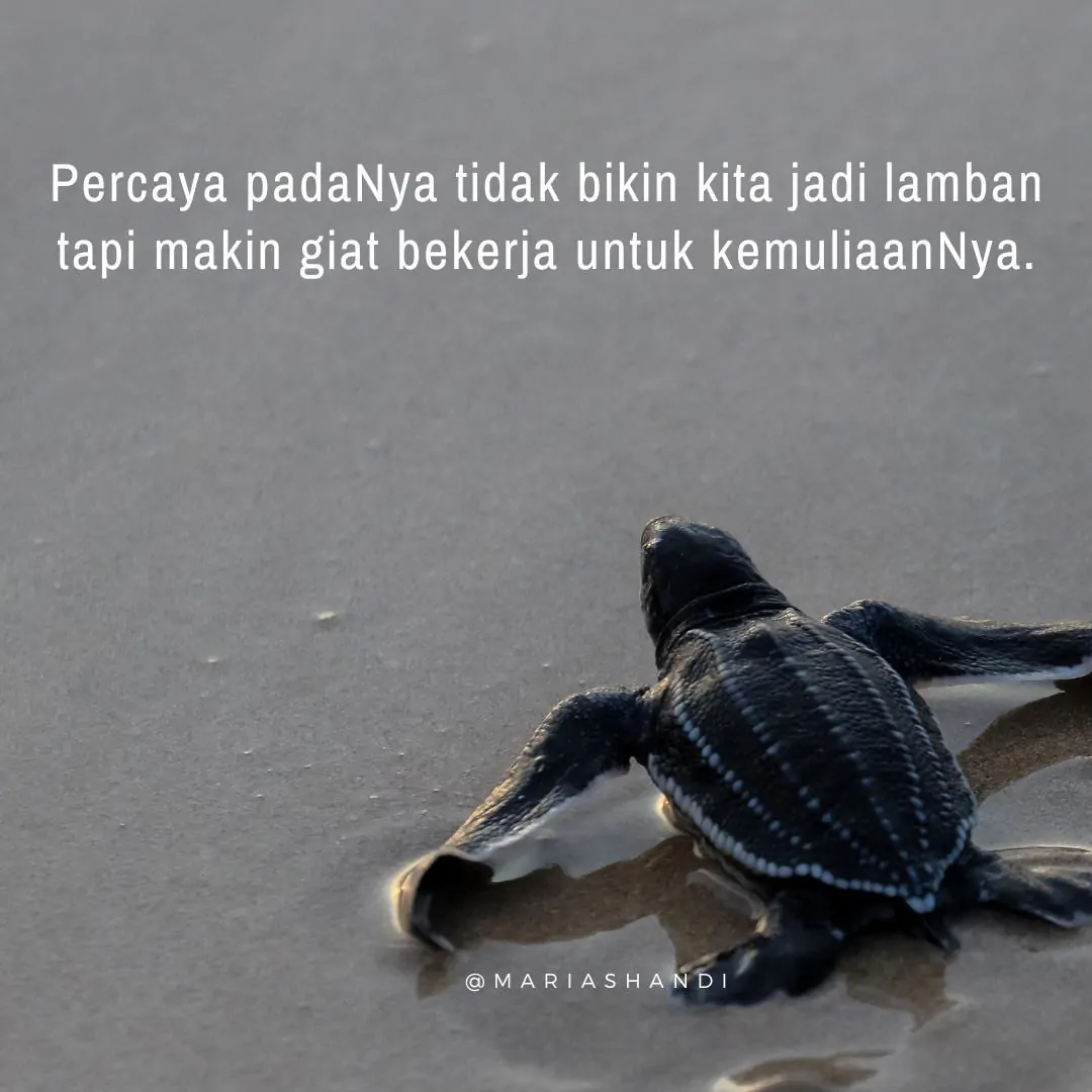 Konsisten dengan Perbuatan Baik Konsisten dengan Perbuatan Baik