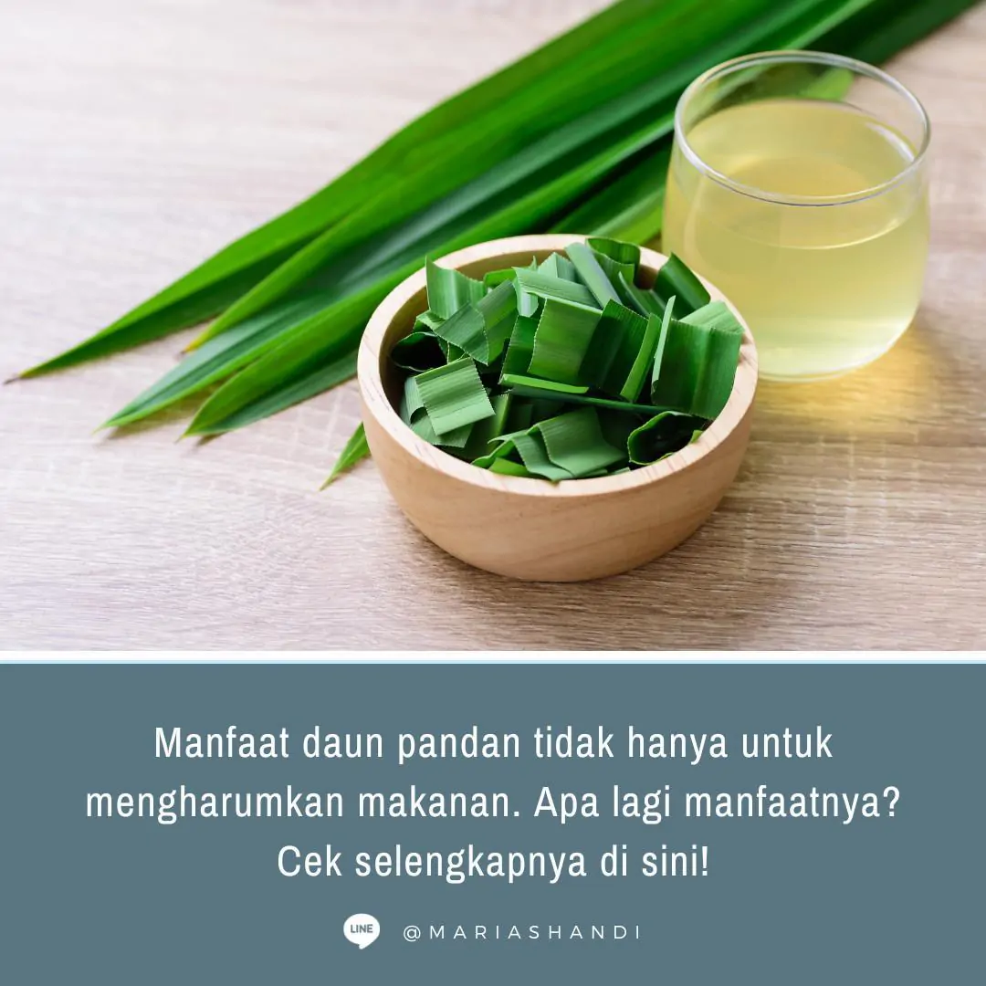 Manfaat Daun Pandan Selain Pengharum Makanan