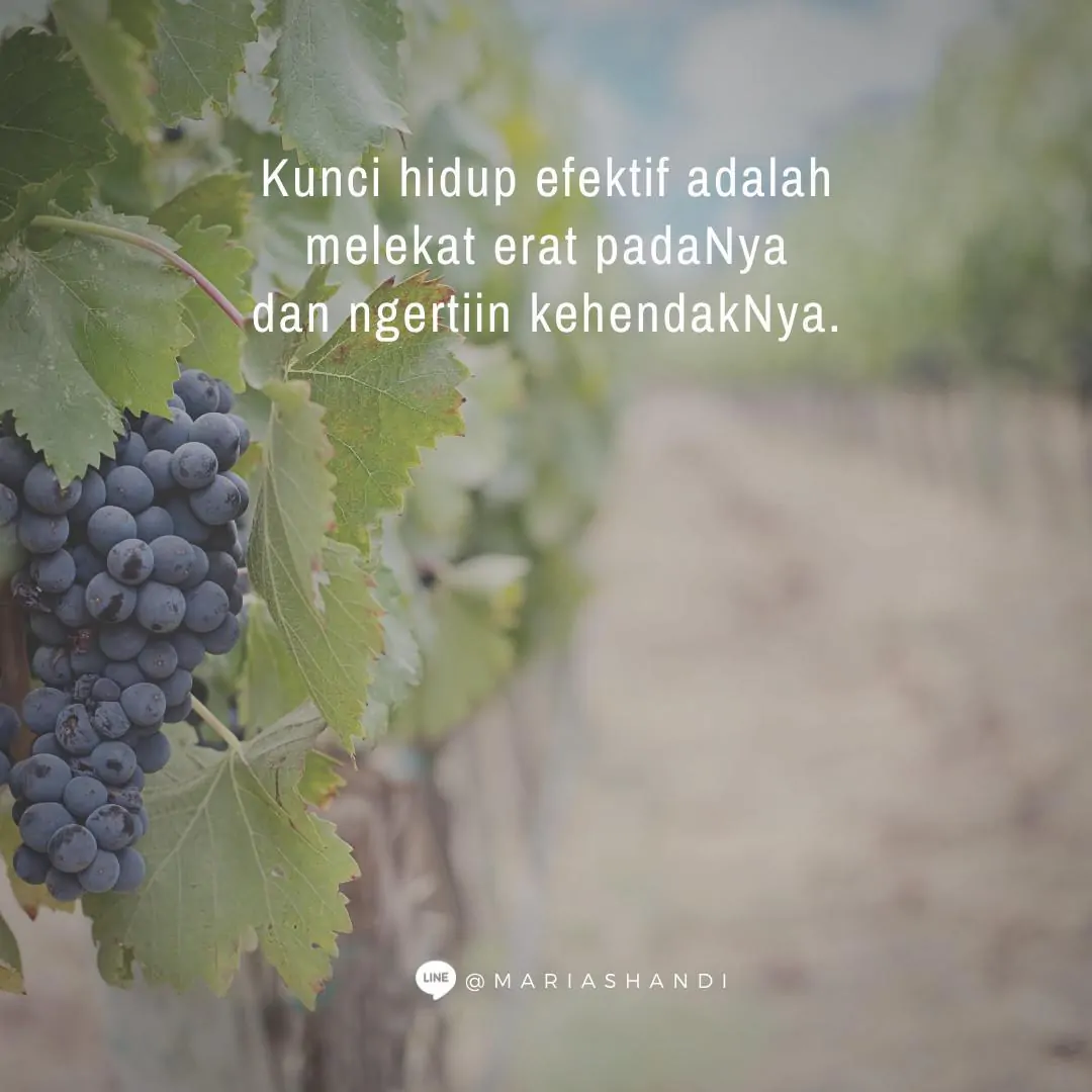 Melekat Melekat