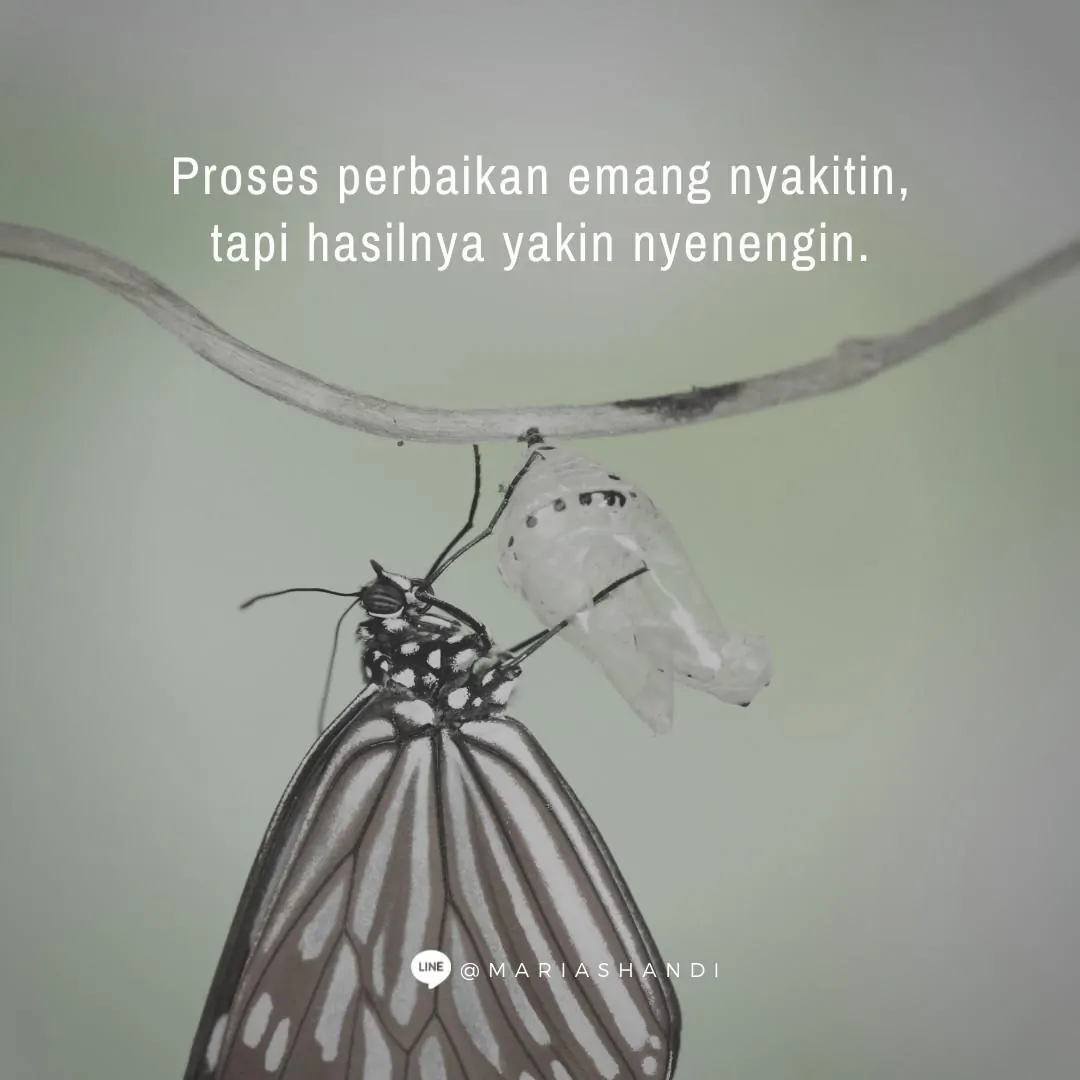 Metamorfosis Karakter
