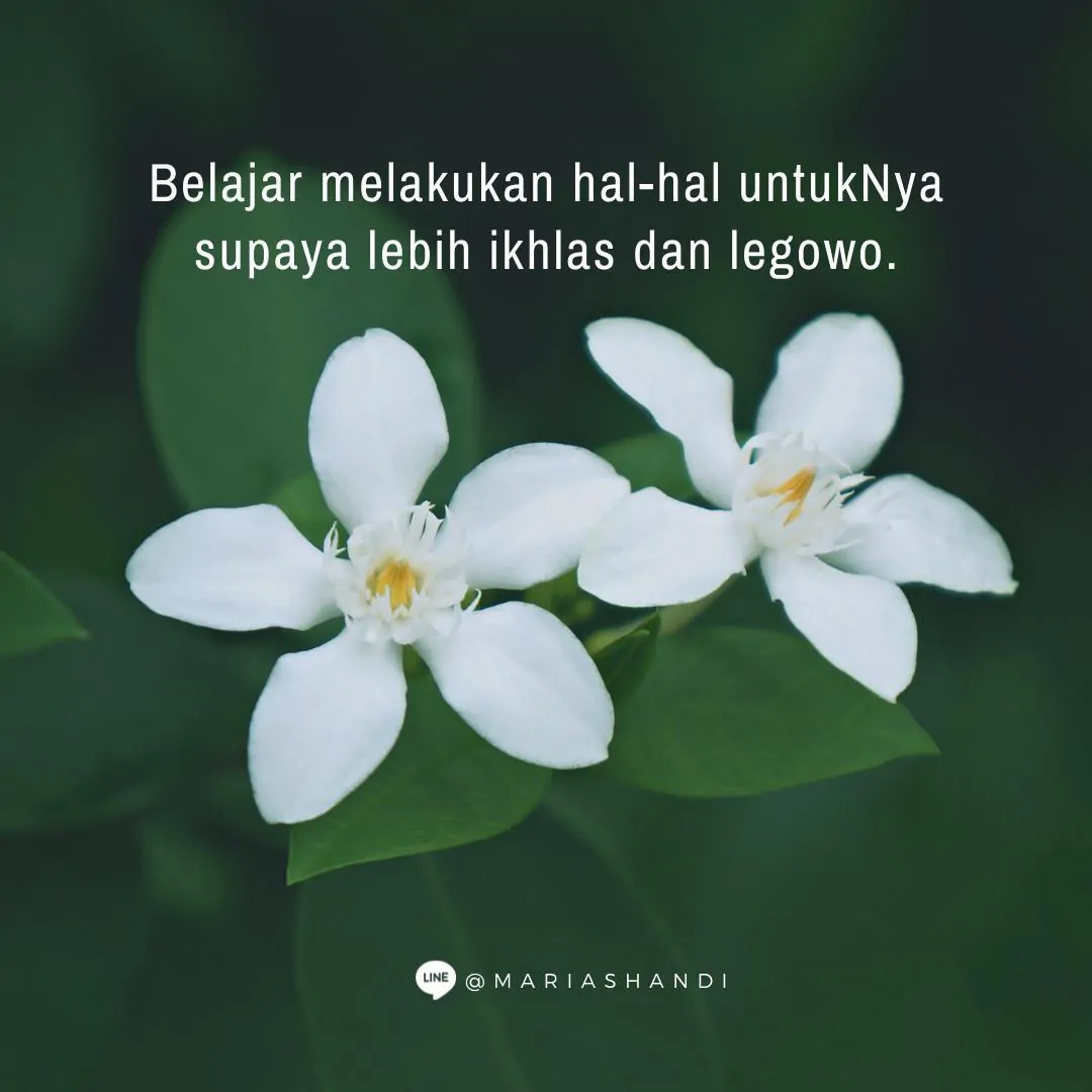 Sebuah Perbedaan