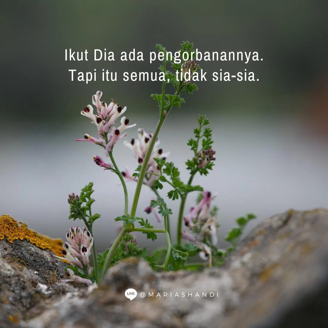 Selidiki Aku, Ujilah Aku