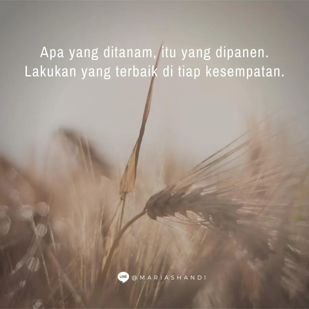 Tabur Tuai Tabur Tuai